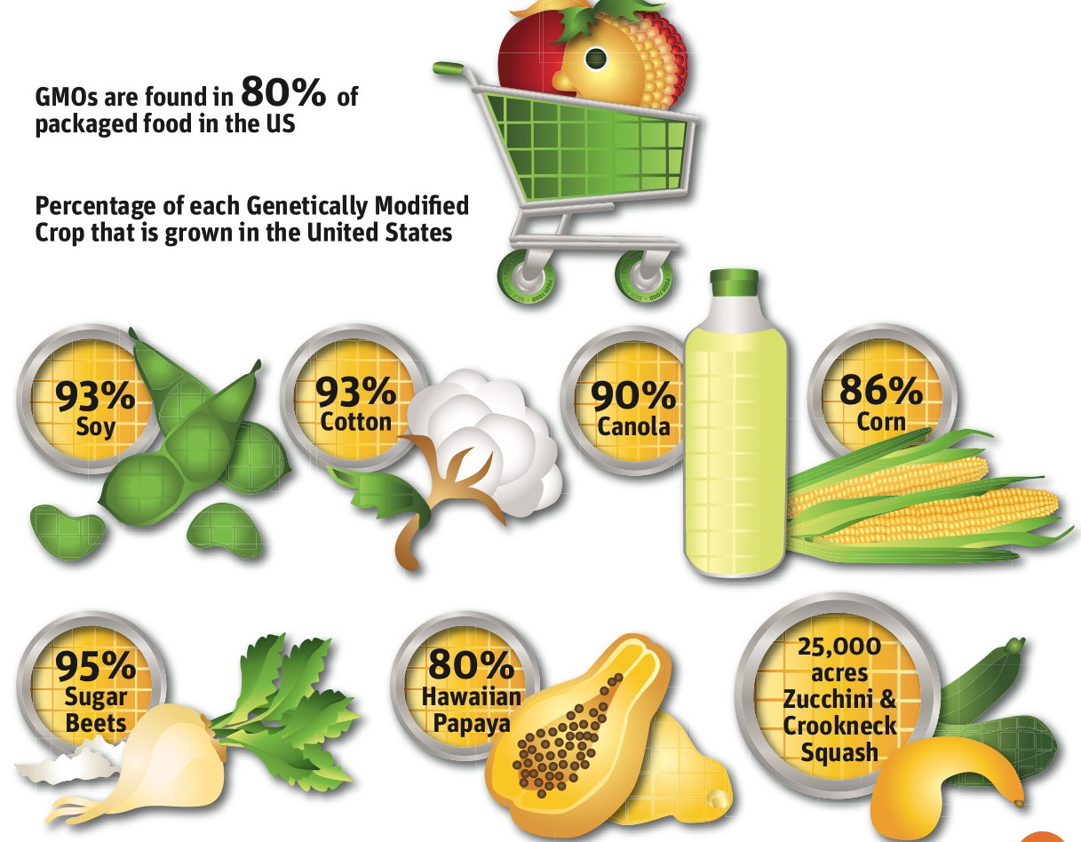 Monsanto And Big Food Pull Out The Big Guns Challenging Washington s GMO Labeling Law Occupy the-health-effects-of-gmo-foods-abc-news