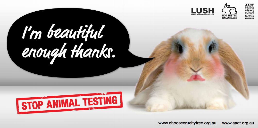 India Bans All Animal-Tested Cosmetics, Citing Ghandian Nonviolence