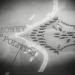 VIDEO PREMIERE - Imagining an Occupy Blitzkrieg