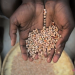 GMOs: The New Slavery