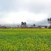 Reclaiming Ag in Oakland