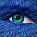 Techtivist Report: Just Because You're Paranoid Doesn't Mean They Aren't After You