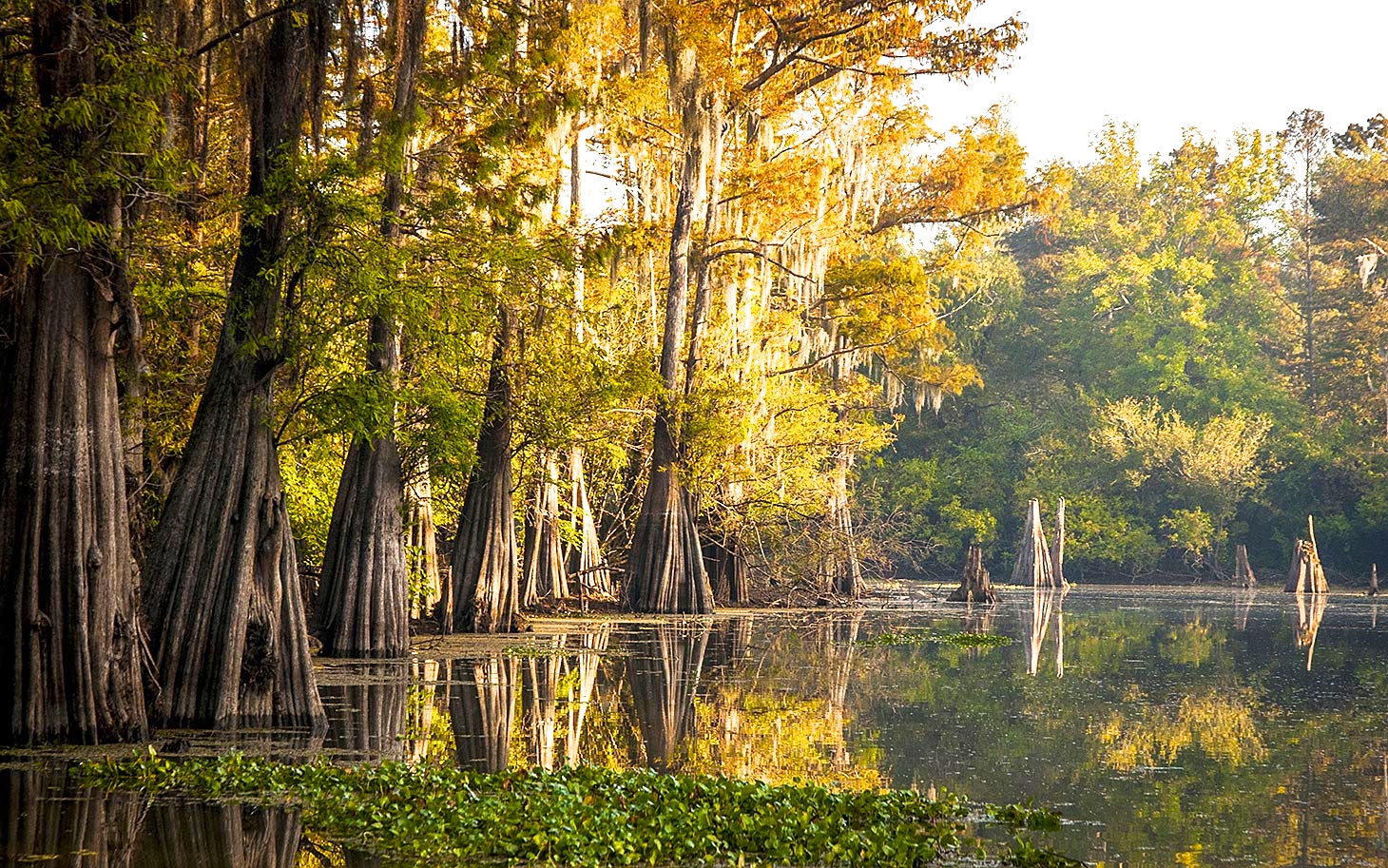 Река с нантом и орлеаном. Штат Луизиана природа. Новый Орлеан штат Луизиана природа. Штат Миссисипи природа. Луизиана климат.
