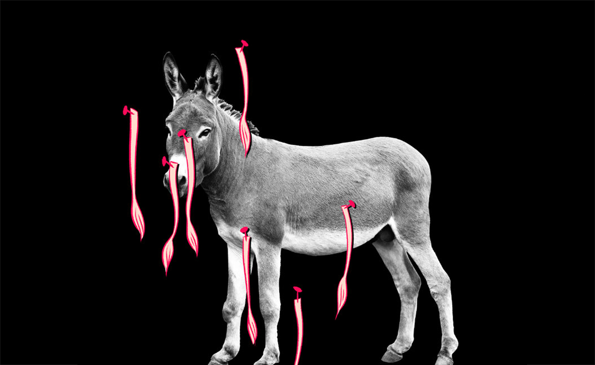 Democrats' Last Major Obstacle to Defeating MAGA for Good