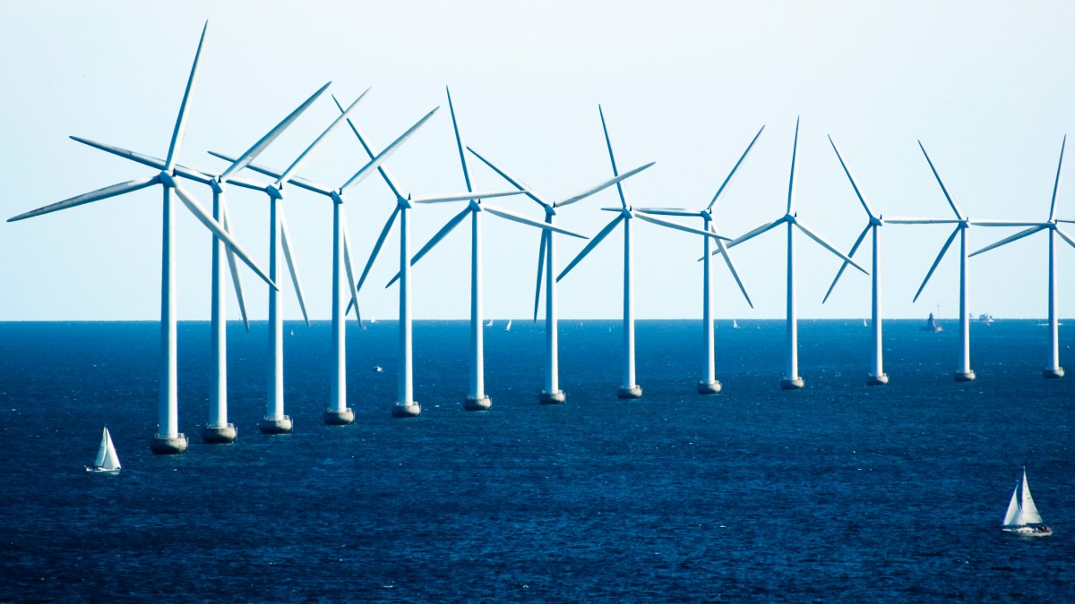 Policy, Not Tech, Spurred Danish Dominance in Wind Energy