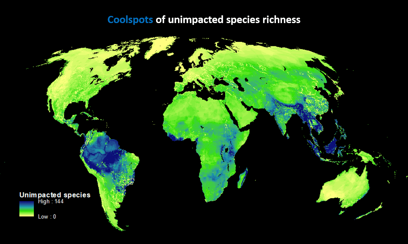 The countries with the greatest areas of coolspots were also in south-east Asia, as well as the Amazon rainforest, parts of the Andes and Liberia. Photograph: PLOS Biology