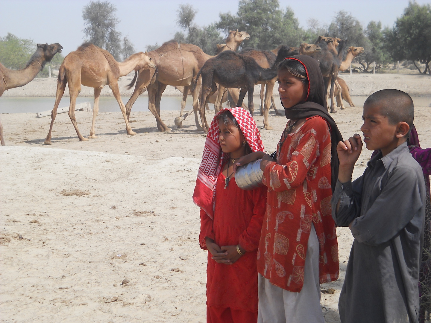 Pakistan drought, Pakistan climatic changes, species die-off, climate-borne disease, Pakistan glacier run-off