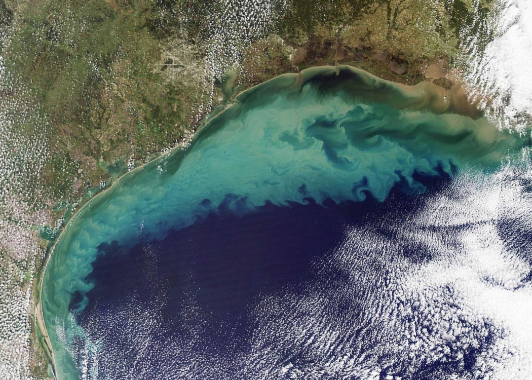 low-oxygen zone, Gulf of Mexico, National Oceanic and Atmospheric Administration, Louisiana State University, Louisiana Universities Marine Consortium, environmental deregulation, Steve Scalise, Bill Cassidy, agricultural runoff, dead zones