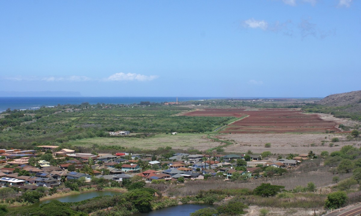 pesticides, GMOs, Hawaii