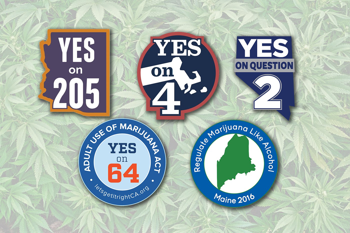 marijuana, marijuana legalization, ballot initiatives, Massachusetts, Maine, Arizona, California
