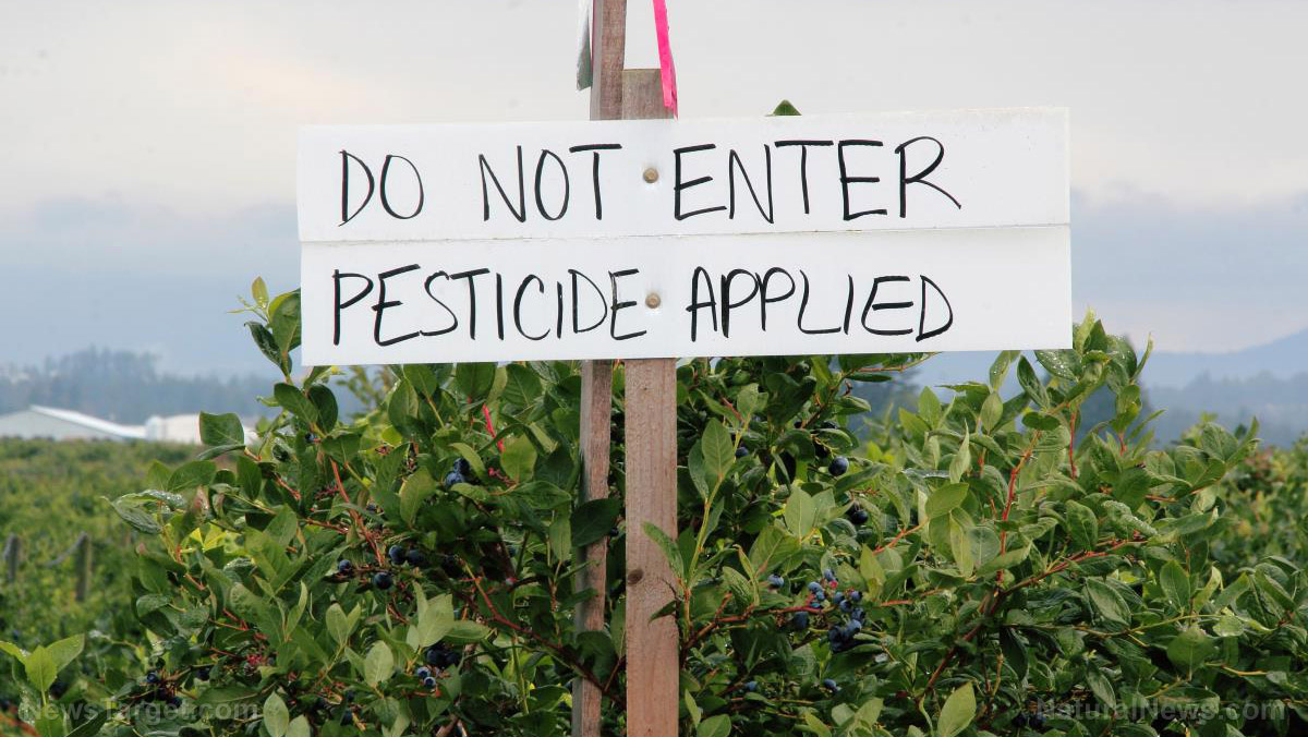 Monsanto, Roundup, weedkiller, glyphosate, cancer-causing pesticides