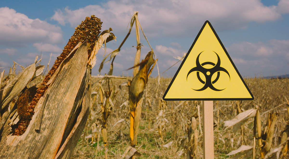 pesticides, toxic chemicals, EPA regulations, Trump