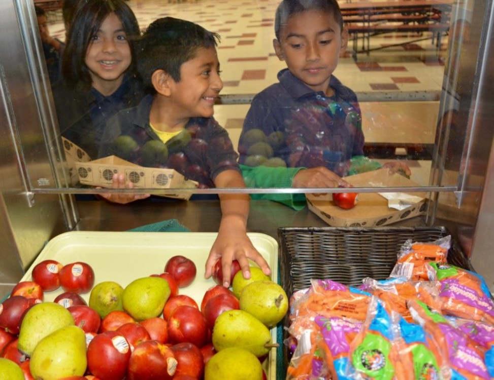 sustainability, Good Food Purchasing Policy. healthy foods, school food policy, Los Angeles Unified School District, Gold Star Foods, organic produce, National Food Day, Food Chain Workers Alliance, Center for Good Food Purchasing