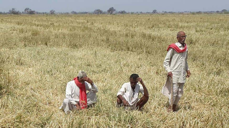 Indian farmers, farmer suicides