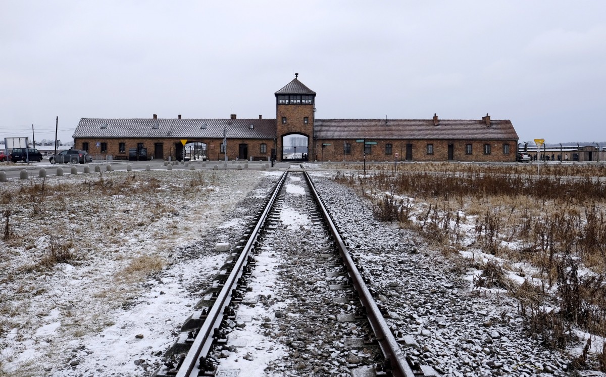 Polish Holocaust denial, Holocaust denial bill, Polish Holocaust history, Law and Justice Party