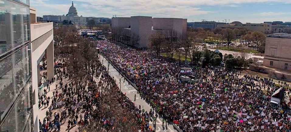 youth movements, gun reform, Democratic Party co-optation