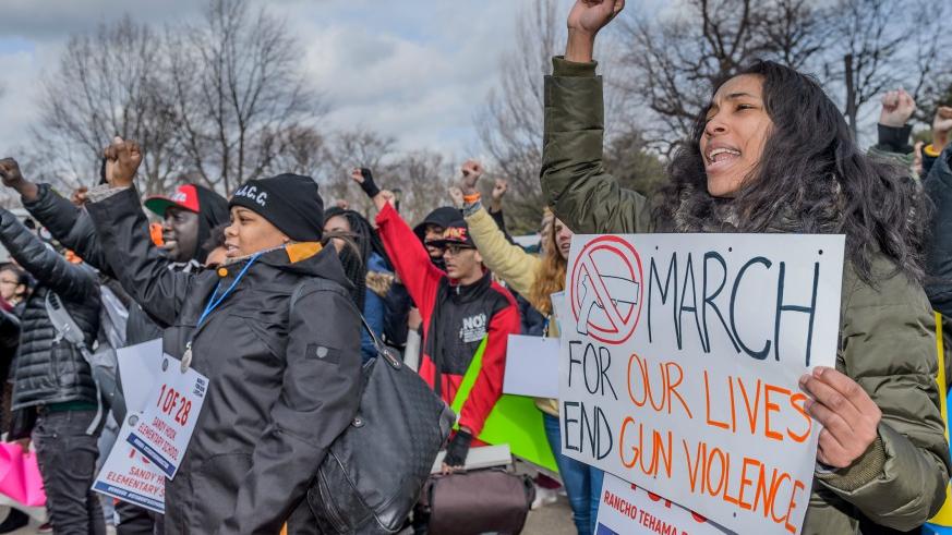 March For Our Lives, gun violence, Never Again, gun restrictions, gun control laws, student activism, student rights, human rights