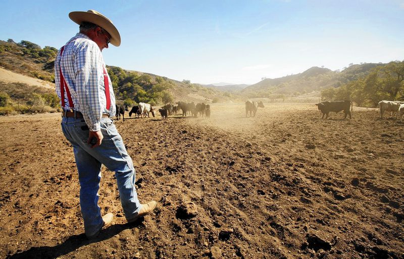 rural politics, climate politics, 2020 elections, Trump voters, Big Ag, corporate agriculture, community farms, small farmers rural politics, climate politics, 2020 elections, Trump voters, Big Ag, corporate agriculture, community farms, small farmers