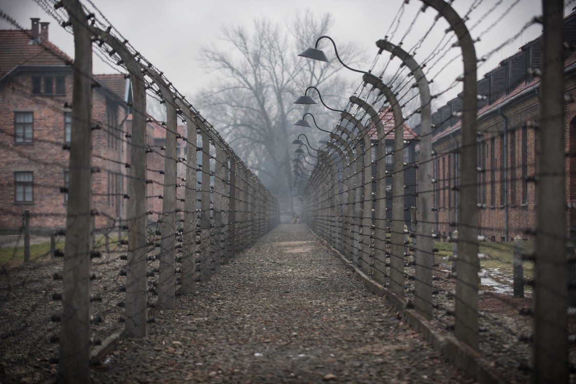 Polish Holocaust denial, Holocaust denial bill, Polish Holocaust history, Law and Justice Party