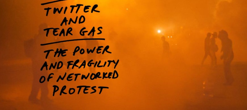 Internet protests, Arab Spring, social media movements, Internet organizing