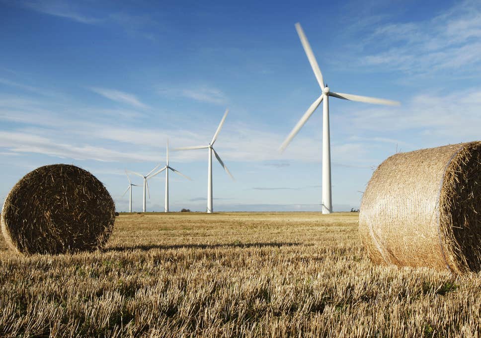 wind power, wind cooperatives, Scottish wind power, Danish wind farms, Danish wind power, sustainable energy economy