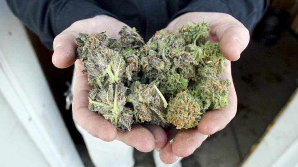 drug policy, Marijuana Opportunity Reinvestment & Expungement, MORE Act