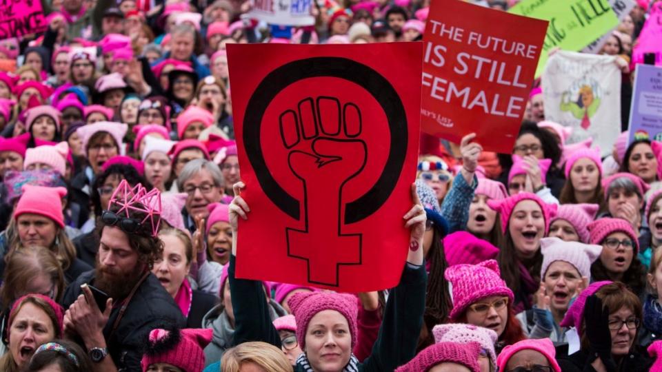 women candidates, Women's March, #MeToo, Power to the Polls, Pink Wave, women organizers, women's movement
