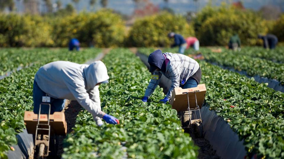 California Local Economies Securities Act, local economies, sustainable economies, Sustainable Economies Law Center, small farming, sustainable communities, sustainable investing, investing locally