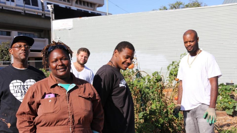 Black Panther Party, Black Panthers, West Oakland Farms, Bay Area gentrification, Elaine Brown, urban farming