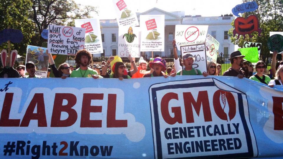GMOs, genetically modified food, GMO labeling, money in politics, H.R. 1599, Safe and Accurate Food Labeling Act, JustLabelIt, Coalition for Safe Affordable Food, Organic Trade Association, U.S. Right to Know