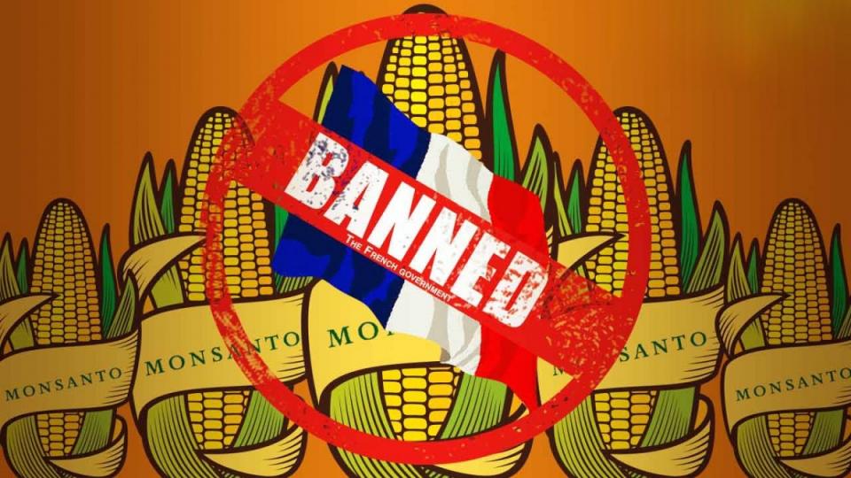 GMOs, sustainable food systems, Monsanto, Dupont, Syngenta, Vilmorin, BASF, Dow AgroSciences, Canadian Biodiversity Action Network, genetically modified seeds, seed preservation, Grocery Manufacturers Association, labeling laws, GMO labeling, Open Source 