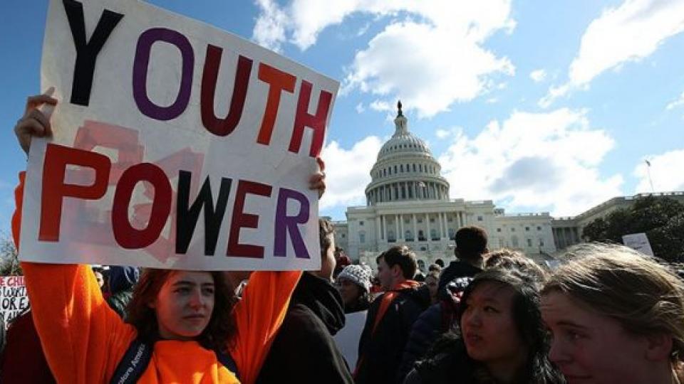 youth movements, gun reform, Democratic Party co-optation