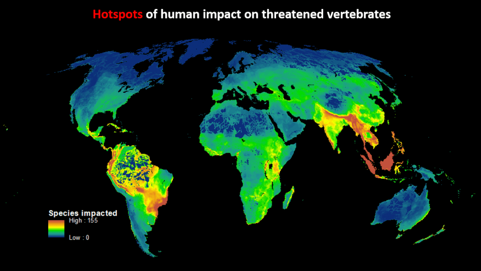 The most affected biomes were in southern Brazil, Malaysia, Indonesia, India, Myanmar and Thailand. Photograph: PLOS Biology